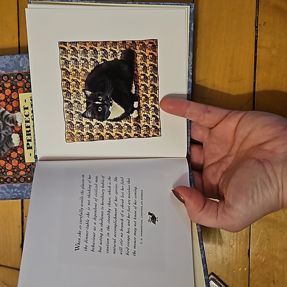 Lesley Anne Ivory's Perfect Little Cats box set of book and note cards - Picture 5 of 8